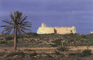 fort.jpg (49970 octets)